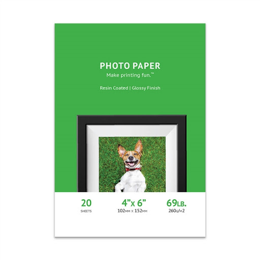 4 Essentials You Need for Photography